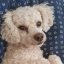 silver-sivien:  malociraptor:   teaalmighty:   teaalmighty: I love how dogs are super cute and soft and sweet and then they open their mouth and theres literal like huge murderspikes in there       Your doodle reminded me of some pictures I have of Mallow