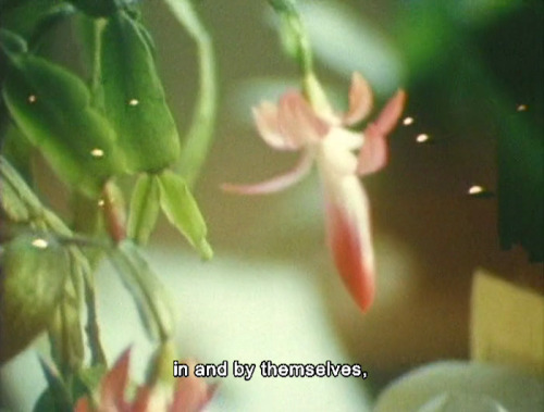 lostinpersona: As I Was Moving Ahead Occasionally I Saw Brief Glimpses of Beauty, Jonas Mekas (2000)