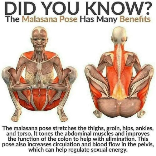 jeremyusocrazy:areallygaybee:pigbottom1:sashacoki:Did you Know?FYI, especially during Corona-time Pa