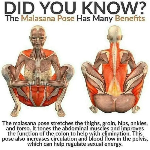 meteorash13: pigbottom1:  sashacoki:  Did you Know?  FYI, especially during Corona-time Pandemic.  T