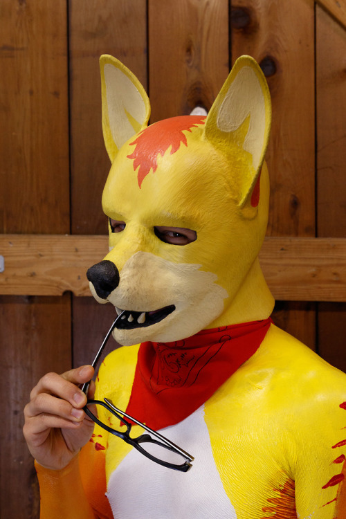 I’m having a poopy day, so here are some pictures of me as a silly, latex-painted firefox-dog thing.