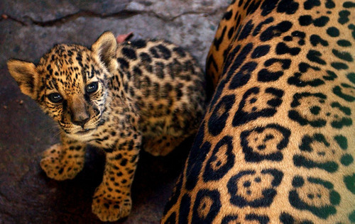 Random Beautiful Images (2012 Collection) on We Heart It. http://weheartit.com/entry/45531547/via/xegy