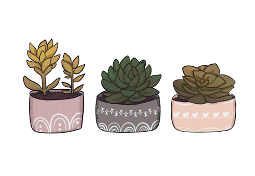 cutiepatoodieart: [ID: illustration of 3 potted succulents in a row moving from side to side.]