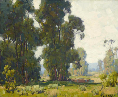 EDGAR PAYNEEl Toro Eucalyptus Oil on Canvas20″ x 24″