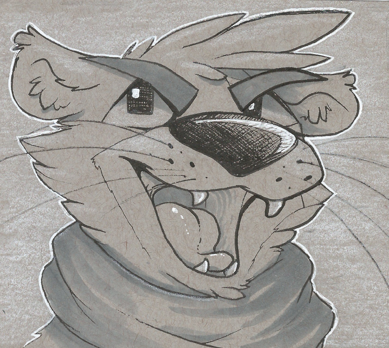 Some stuff from MFF from a month or so ago! My first fur con and MAN IT WAS A BLAST.I