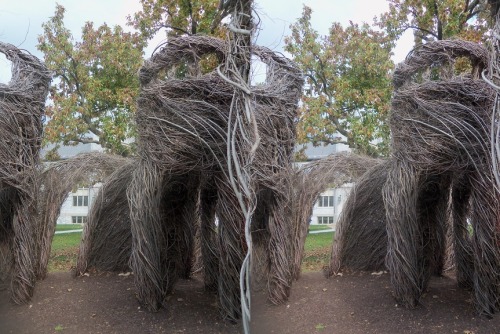 “Stickwork” art by Patrick Dougherty at Wilson CollegeCross your eyes a little to see these photos i