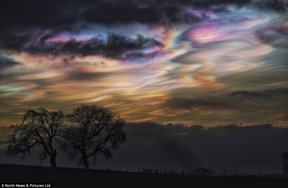 sixpenceee:  They may look like an Impressionist masterpiece, but these rare nacreous