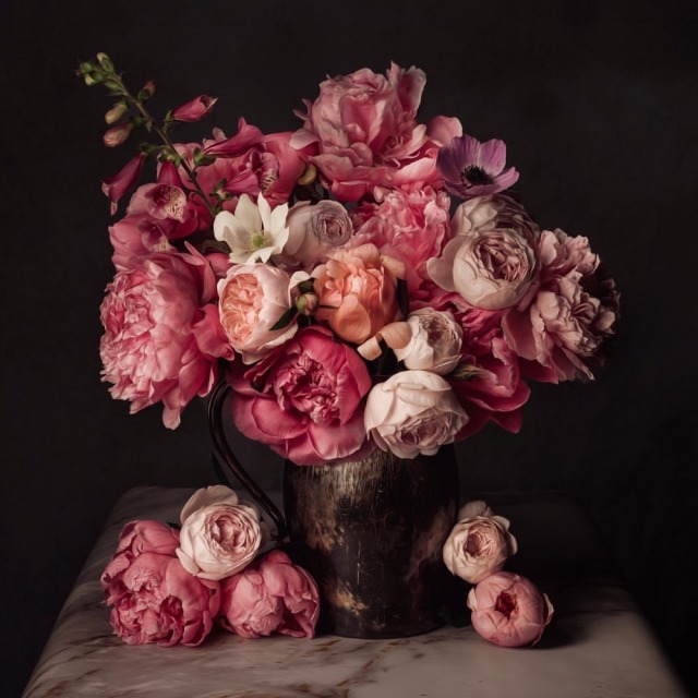 #peonies on Tumblr