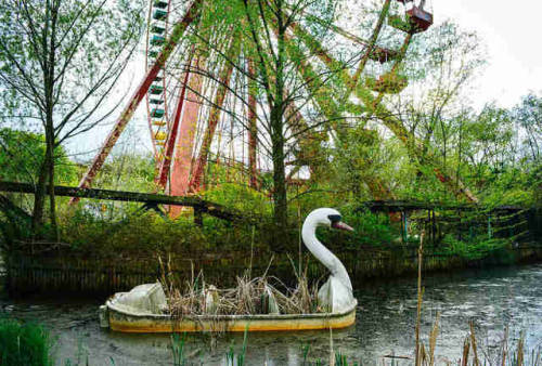 The Swans of Spreepark