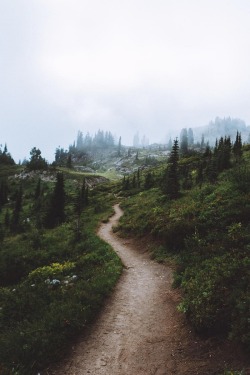 alecsgrg:  Hiking | ( by Elliot Hawkey ) 