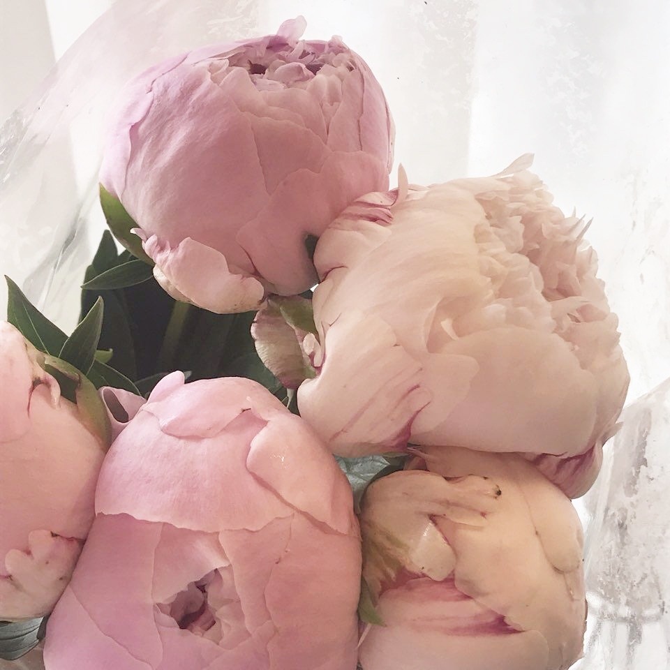 jiminrose-remade:  𝕒𝕣𝕔𝕙𝕚𝕧𝕖 𝕓𝕠𝕒𝕣𝕕 | for @cafelunes