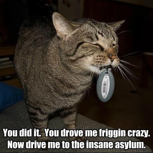 Hey, you found my keys!