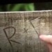 nouserideax:Richie really went back to RECARVE their initials in to the bridge to