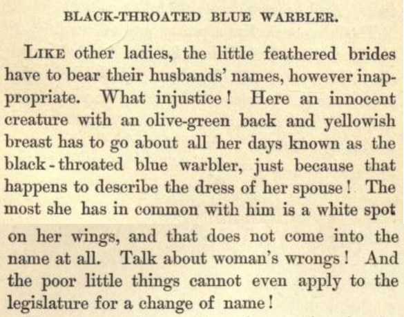 verysmallfrogs:  lookupbin:  vintar:  apparently the first bird field guide was written