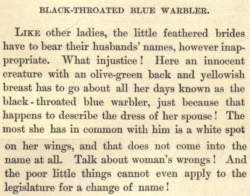vintar:  apparently the first bird field guide was written by a woman who was rallying against the f