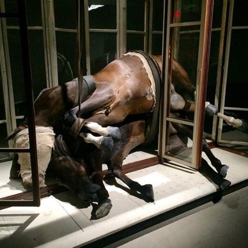 Berlinde de Bruyckere — No Life Lost II, 2015, (at Hauser &amp; Wirth, New York). Horse sk