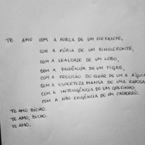 madamechicago:  te amo bicho. te amo, bicho. te amo.  para um napolitano guardanapo naps, direto do túnel do meu google fotos.