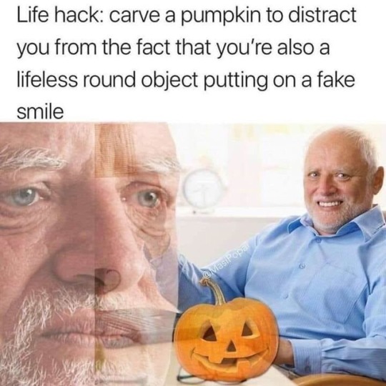 dankmemeuniversity:  