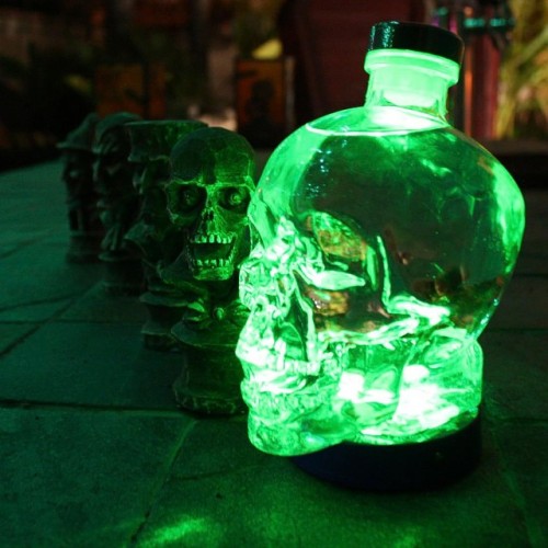 johanclicks:#spooky #scary #skull #halloween porn pictures