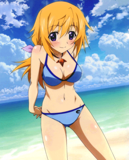 シャルロット デュノア Tumblr Posts Tumbral Com