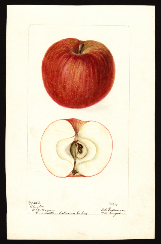 At What Point Does An Exploration Of These Images Tip From Information Into Knowledge? It’s Hard To