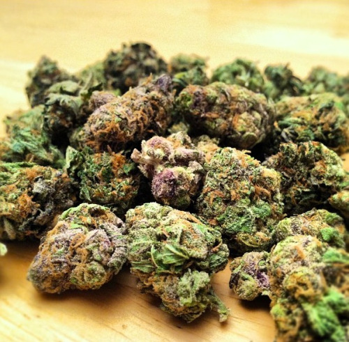 cannacool:  http://cannacool.tumblr.com