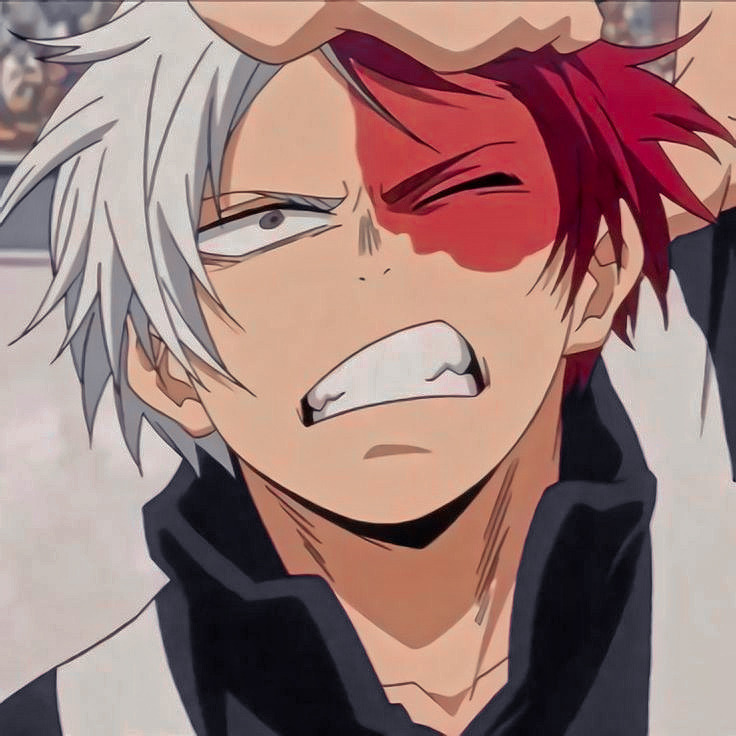 ꊥꊥᱺ Todoroki Shoto જ 𝖺𝗇𝗂𝗆𝖾 𝗂𝖼𝗈𝗇𝗌 ఇ 𑁯 Like 𝗼𝗿