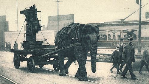 An elephant works in a munitions yard, Sheffield, England, WWI