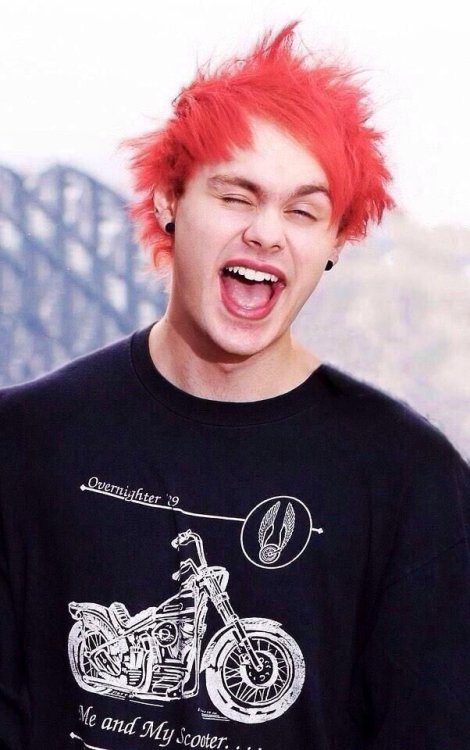 hangryhana: red hair Clifford!! my big three are reverse skunk, green, and red hair :-)