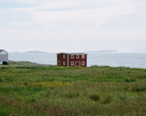 Finally got my film back from my trip out east!Open Hall, Newfoundland and Labrador