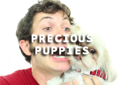 fuckyeahtobyturner:   Tobuscus + TV Tropes  There are loads of other TV Tropes for