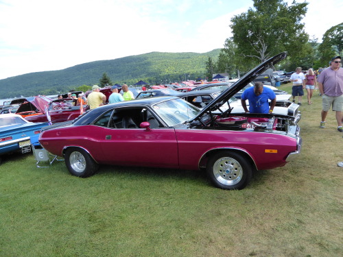 fromcruise-instoconcours:  Dodge Challenger 