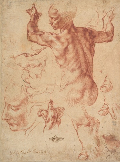 italianartsociety:  There is less than a month to visit the exhibition Michelangelo: Divine Draftsman and Designer at the Metropolitan Museum of Art. The show explores the genius and power of Michelangelo’s draftsmanship, particularly his use of disegno.