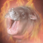 rithicculus