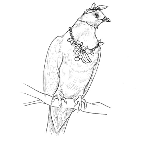 hickorybird - hickory bird ποΈ