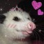 party-panda-uwu