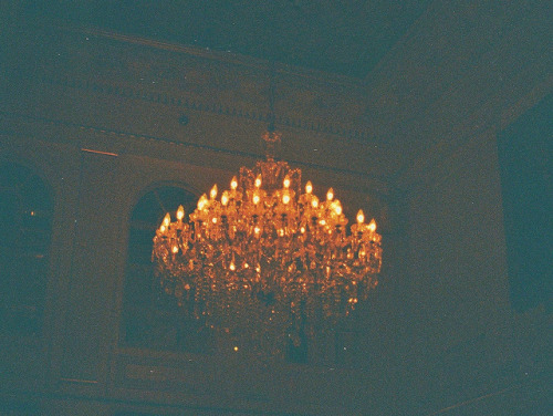 the-host:  Nola by Samantha Marina on Flickr.
