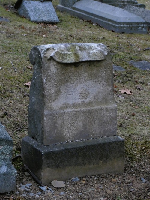 Allegheny Cemetery 2-2-25-16