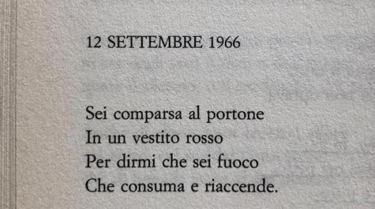 catastrofeanotherme:   Giuseppe Ungaretti  