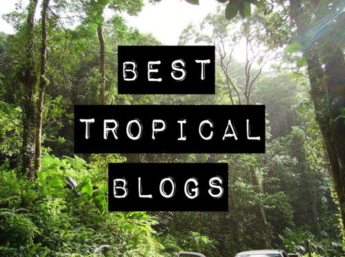 bali-teens:  **TEXT WILL NOT SHOW UP ON YOUR BLOG, DON’T DELETE IT** This is the Best Tropical Blogs
