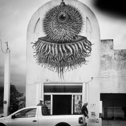 Absolutely phenomenal streetart in Cozumel Mexico&hellip;.. Murals everywhere. Just like Wall Therapy back home in Rochester! I wish that I had time to walk around and photograph them all&hellip;. #streetart #cozumelmexico #blackandwhite by londonandrews