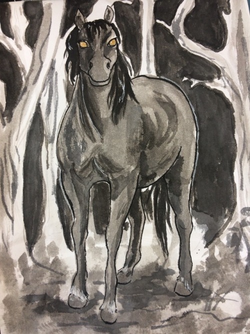 ashydrawsthings: A Pùca - an Irish spirit that often takes the form of a black horse with gol