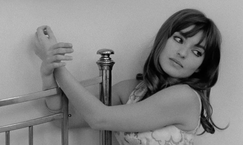 kittenplaylist:  Trans-Europ-Express | 1968
