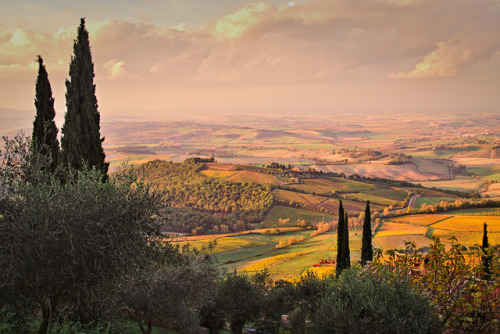 breathtakingdestinations:Montalcino - Tuscany - Italy (by Thomas Fabian) 