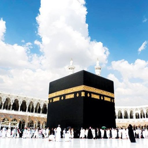 pale shia blog