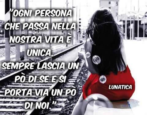 Ciao seguimi&hellip;The wolf