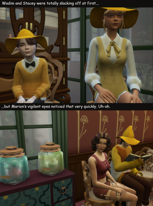 Glimmerbrook Schools Pt.4