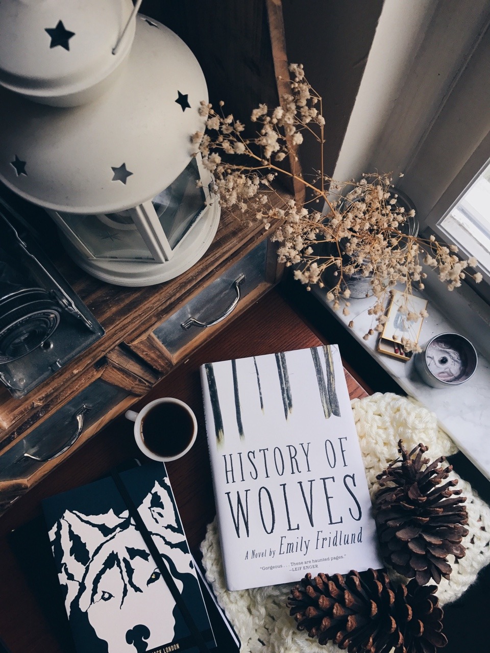 ursula-uriarte:Another title on my immediate TBR, History of Wolves hits shelves