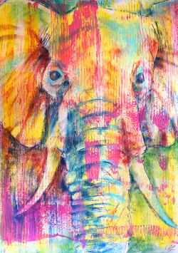 vufus:  “Elephant” Artist: Yiannisun 