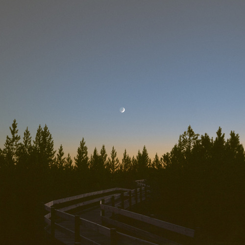 brutalgeneration:  Norris Basin. Surrounded by the gentle hiss of geysers. (by Reuben Wu)